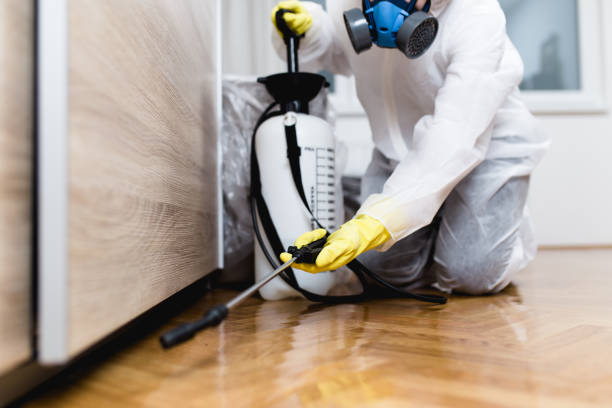 Professional Pest Control in Hebron, OH