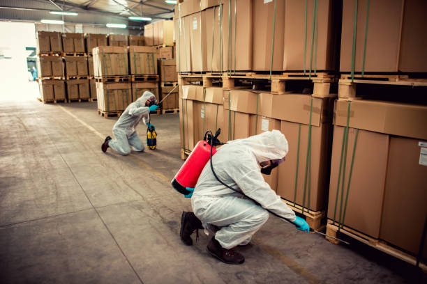 Best Flea Control Services  in Hebron, OH