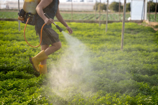 Best Pest Removal Services  in Hebron, OH
