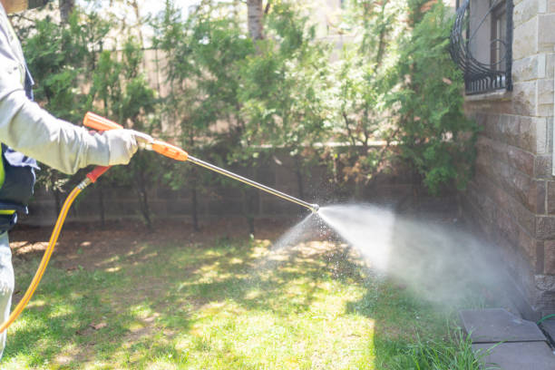 Best Pest Removal Services  in Hebron, OH