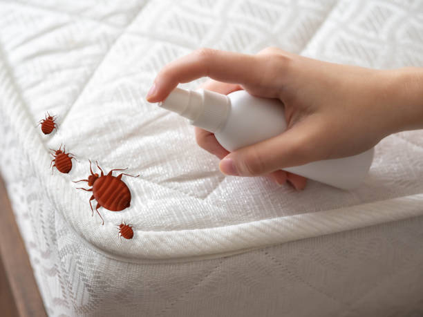Best Pest Control for Homes  in Hebron, OH